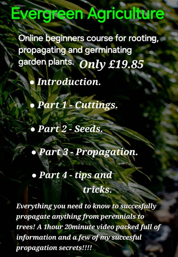 Online propagation course for beginner gardeners