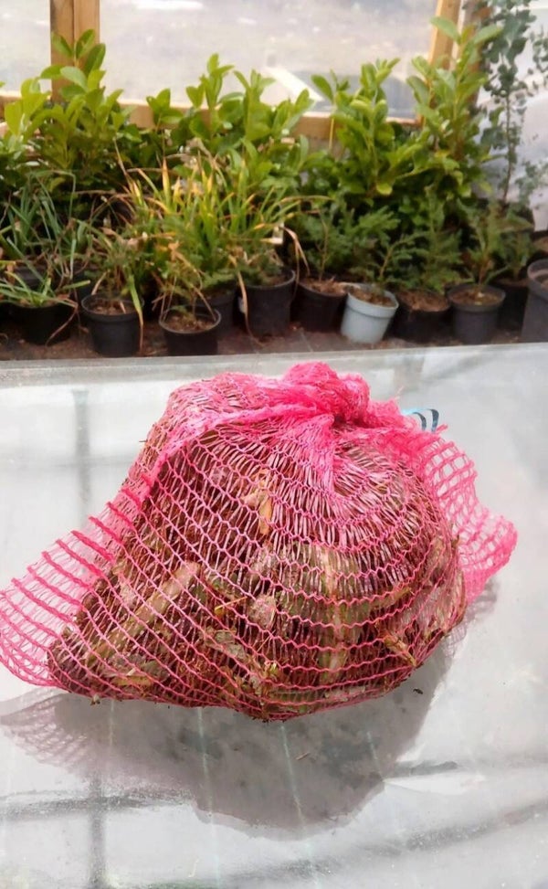 Compost tea bags (fertilizer)