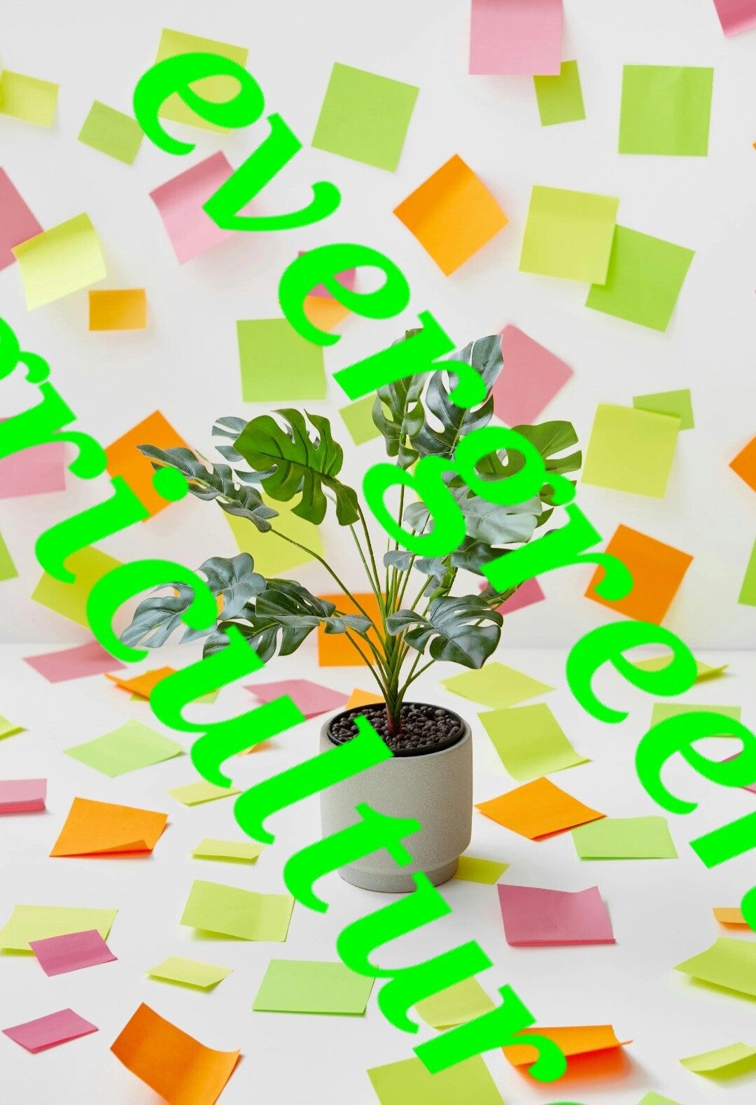 High quality office pot plant template