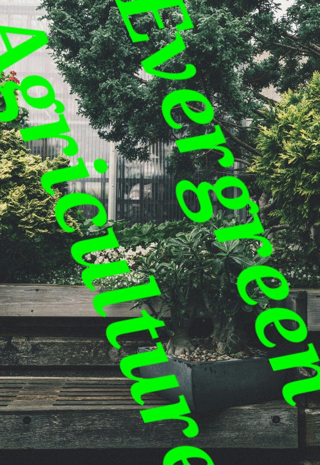 Dark garden scene template