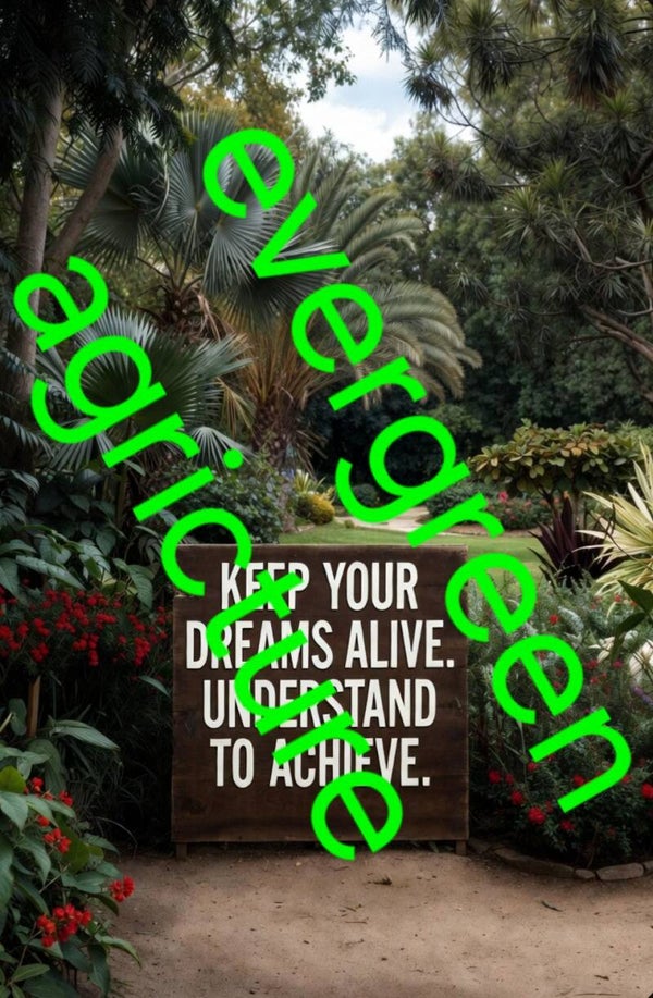 Keep your dreams alive, understand to achieve