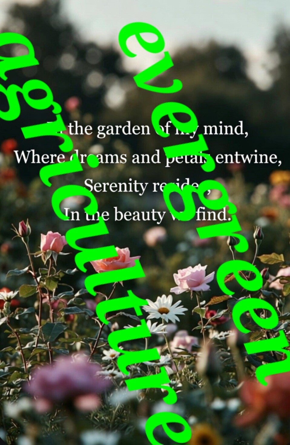 In the garden of my mind, where dreams and petals entwine, serenity resides in the beauty we find.