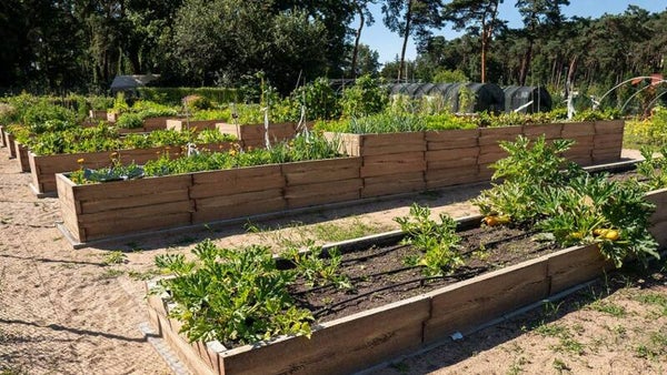 Betongarten für urbane Kräuter 4 typ S