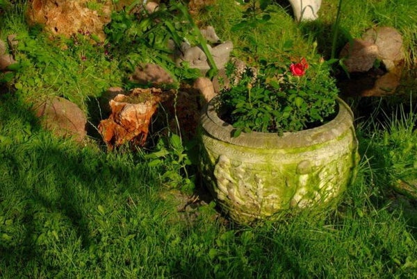 Blumentopf mit Amoretten im Flachrelief