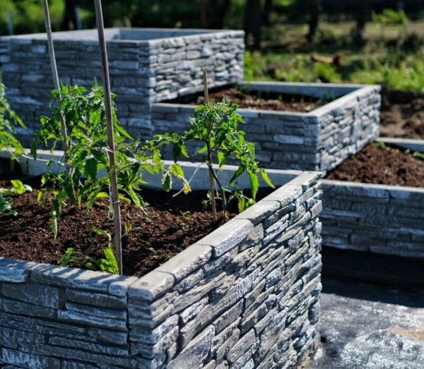 Dekorative Beete für Gemüse und Kräuter 6 typ T