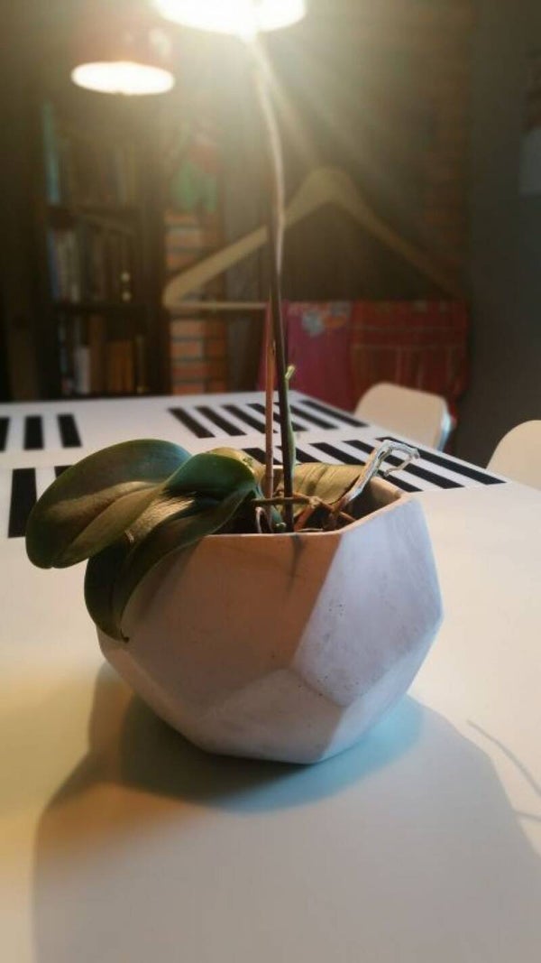 Geometrischer Blumentopf aus Stein