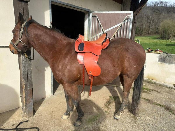 Configurez votre selle sur mesure