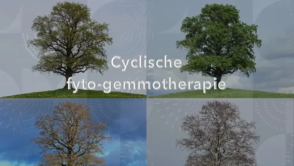 Cyclische gemmo-fytosociologie online start and go