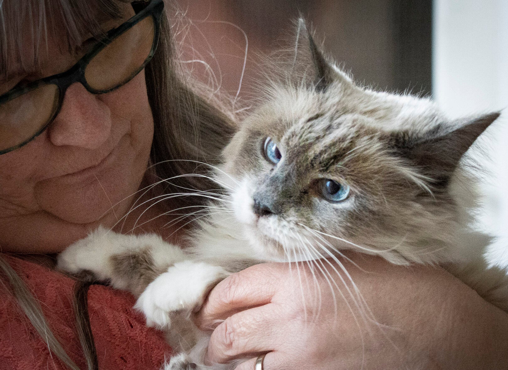 Opleiding gemmotherapie en dieren start and go