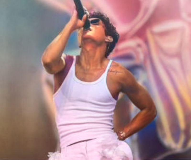 Summer Festival Pinkpop festival