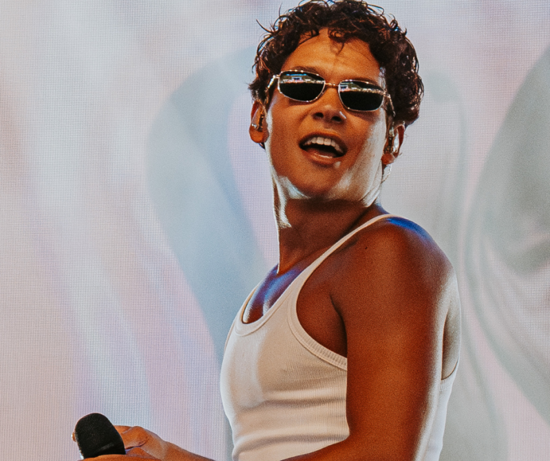 Summer Festival Pinkpop festival