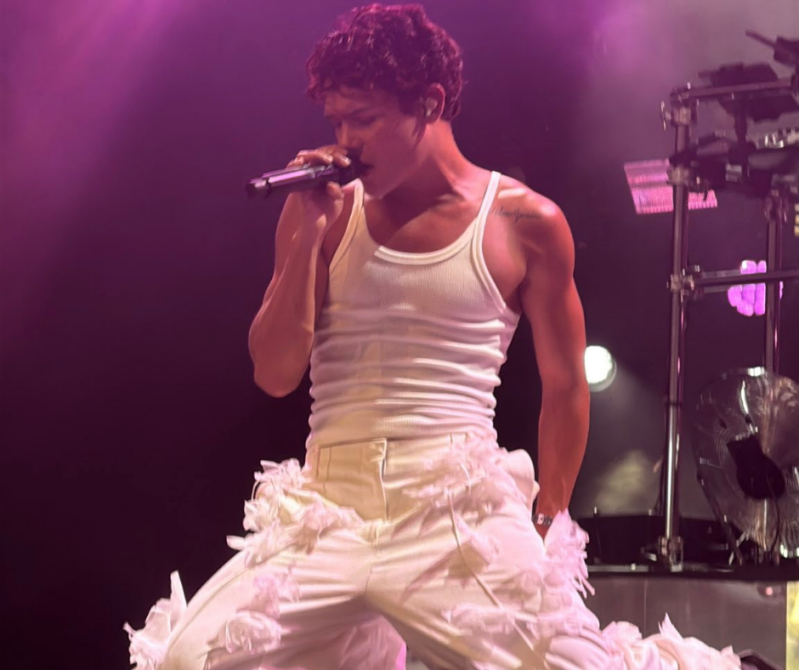 Summer Festival Pinkpop festival