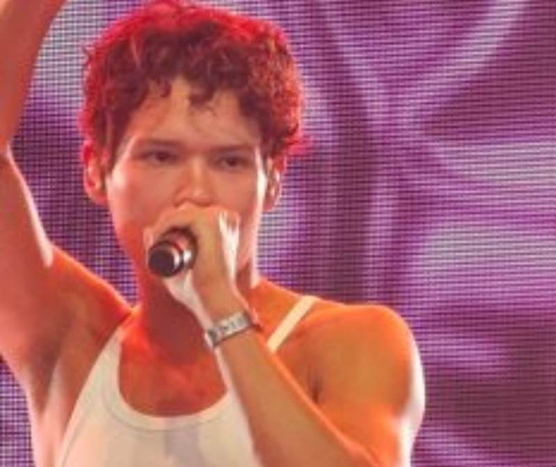 Summer Festival Pinkpop festival