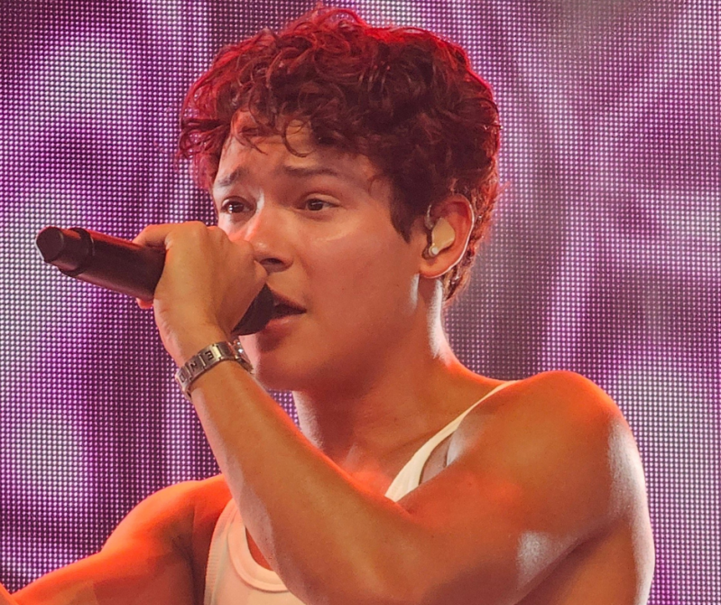 Summer Festival Pinkpop festival