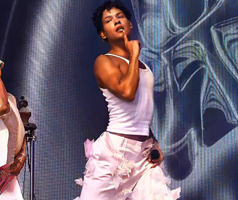 Summer Festival Pinkpop festival