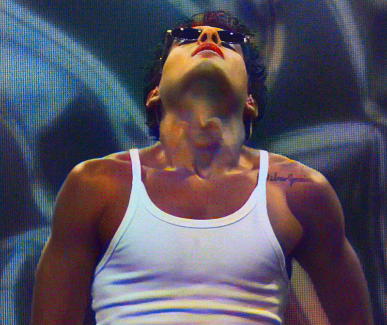 Summer Festival Pinkpop festival