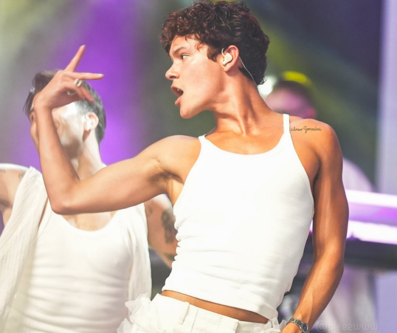 Summer Festival Pinkpop festival