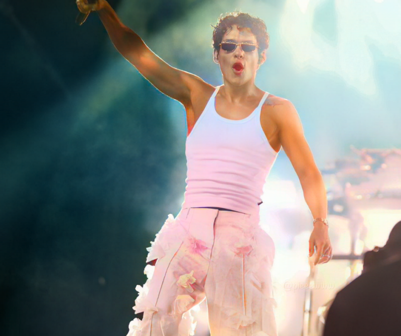 Summer Festival Pinkpop festival