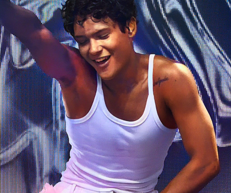 Summer Festival Pinkpop festival