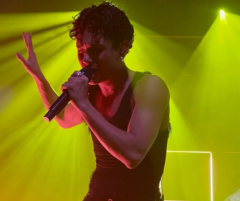 Every Night Fantasy Tour Antwerp