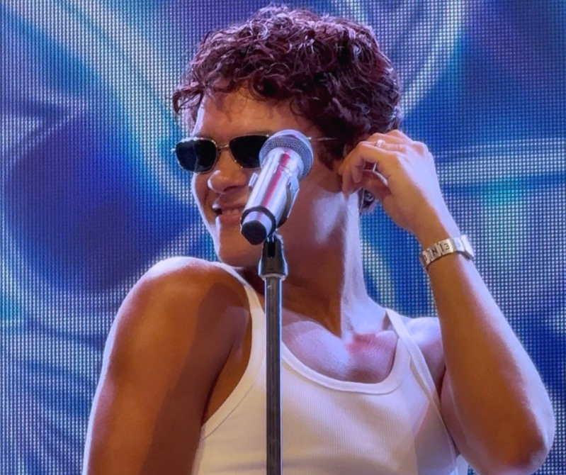 Summer Festival Pinkpop festival