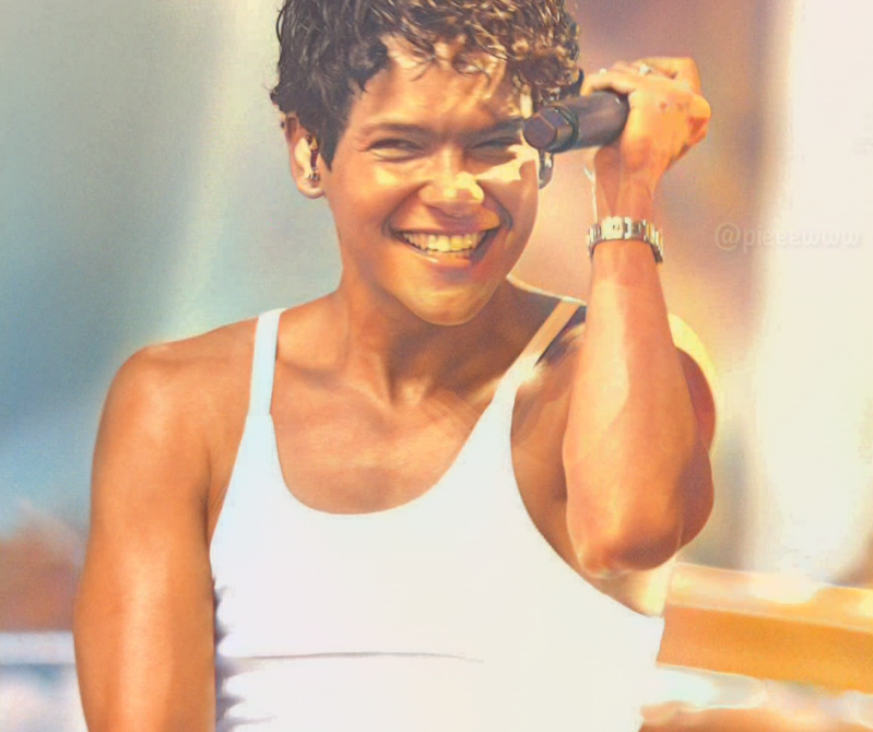 Summer Festival Pinkpop festival