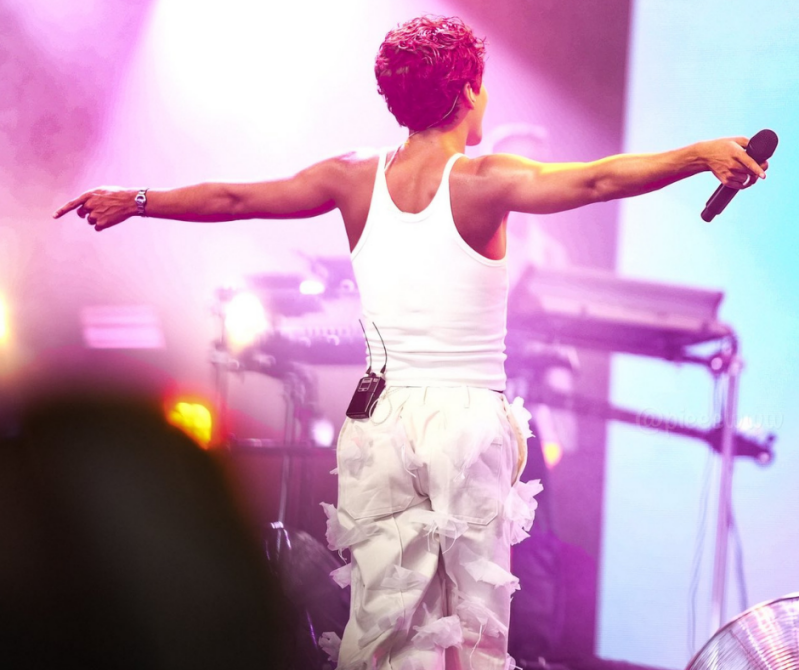 Summer Festival Pinkpop festival