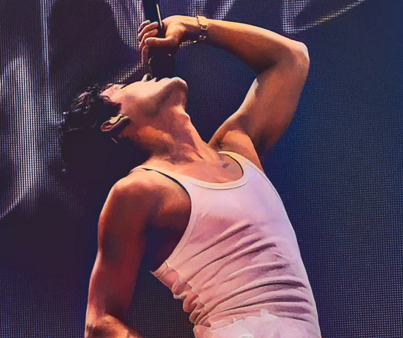 Summer Festival Pinkpop festival