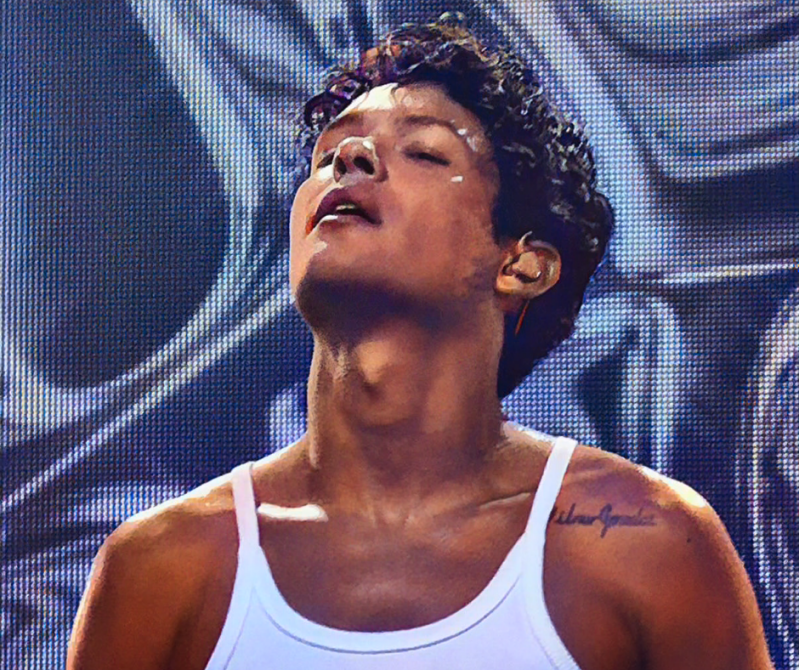 Summer Festival Pinkpop festival