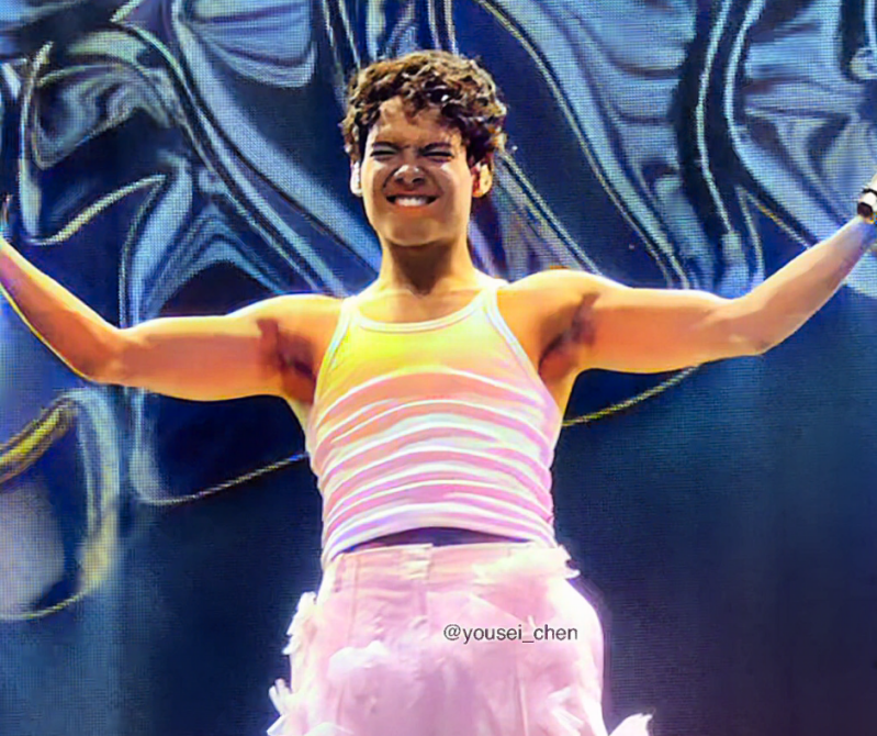 Summer Festival Pinkpop festival