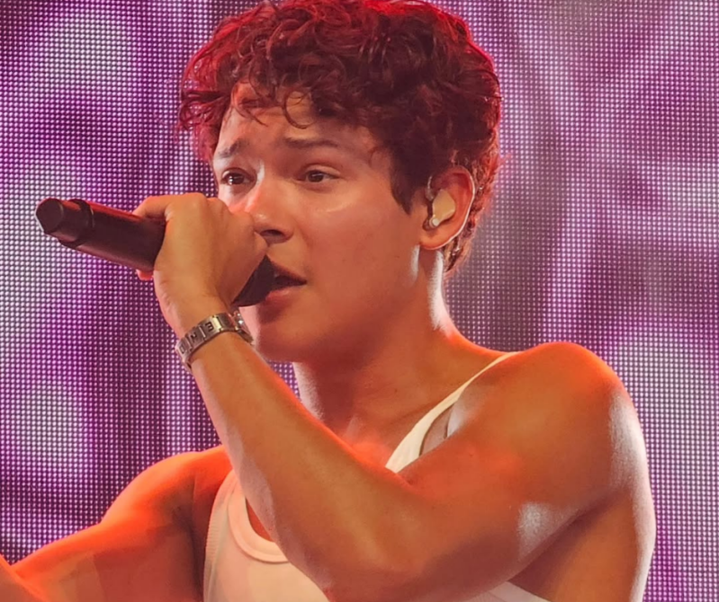 Summer Festival Pinkpop festival