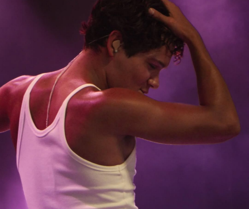 Summer Festival Pinkpop festival