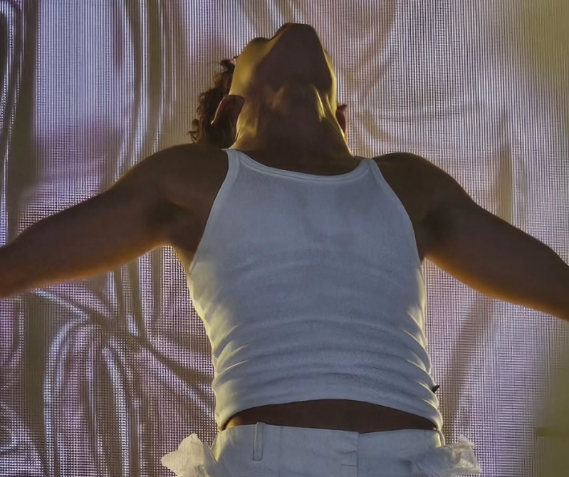 Summer Festival Pinkpop festival