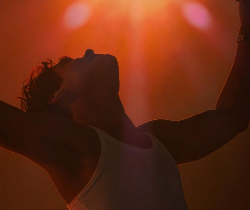 Summer Festival Pinkpop festival