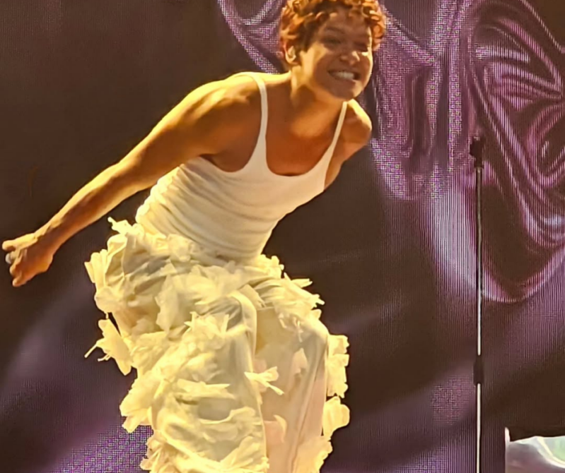 Summer Festival Pinkpop festival