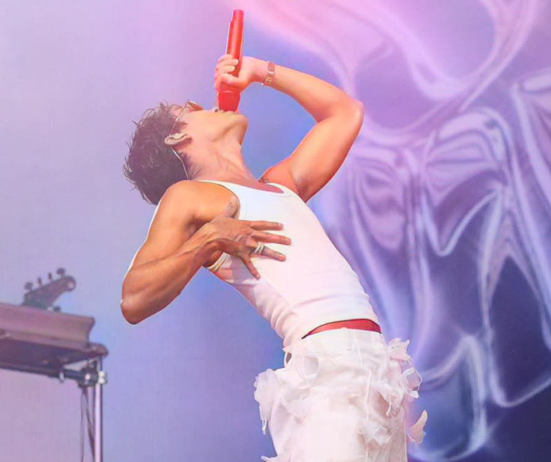 Summer Festival Pinkpop festival