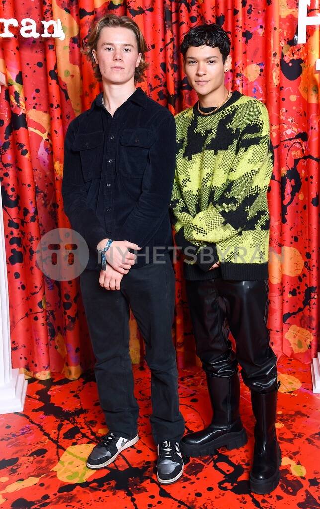 Omar Rudberg Ed Sheeran concert