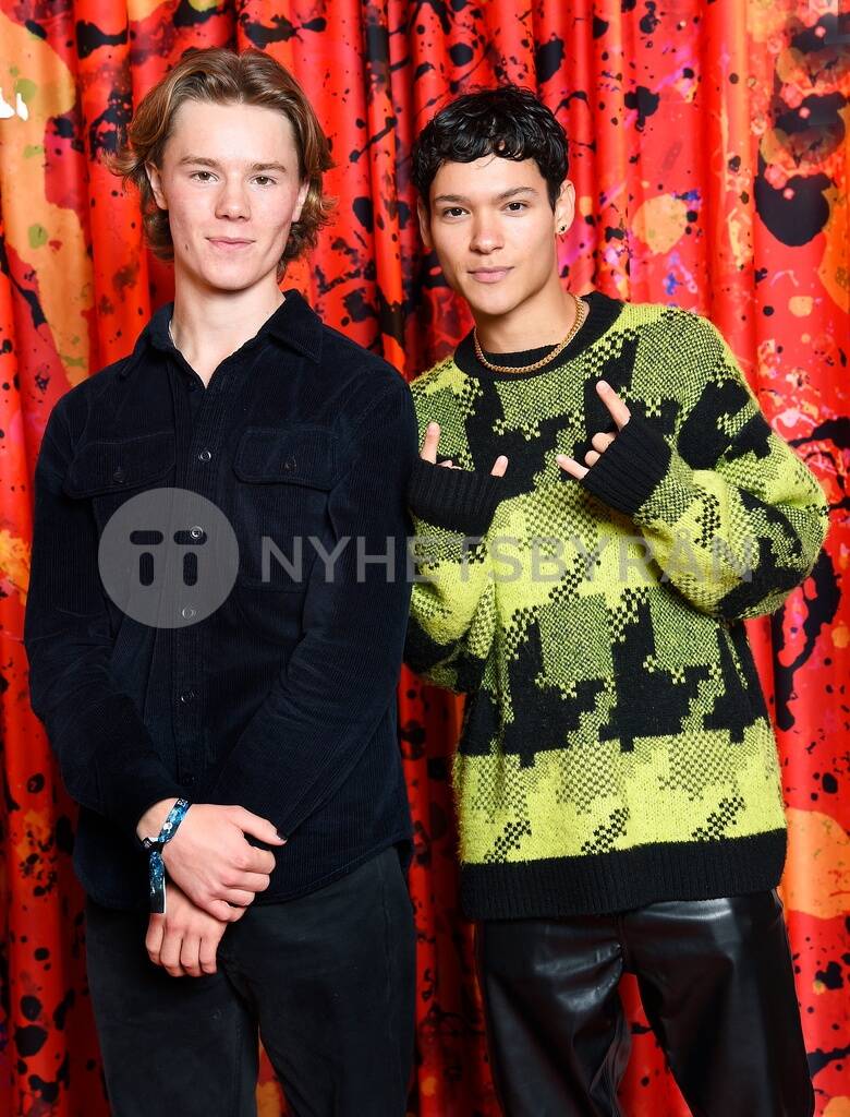 Omar Rudberg Ed Sheeran concert