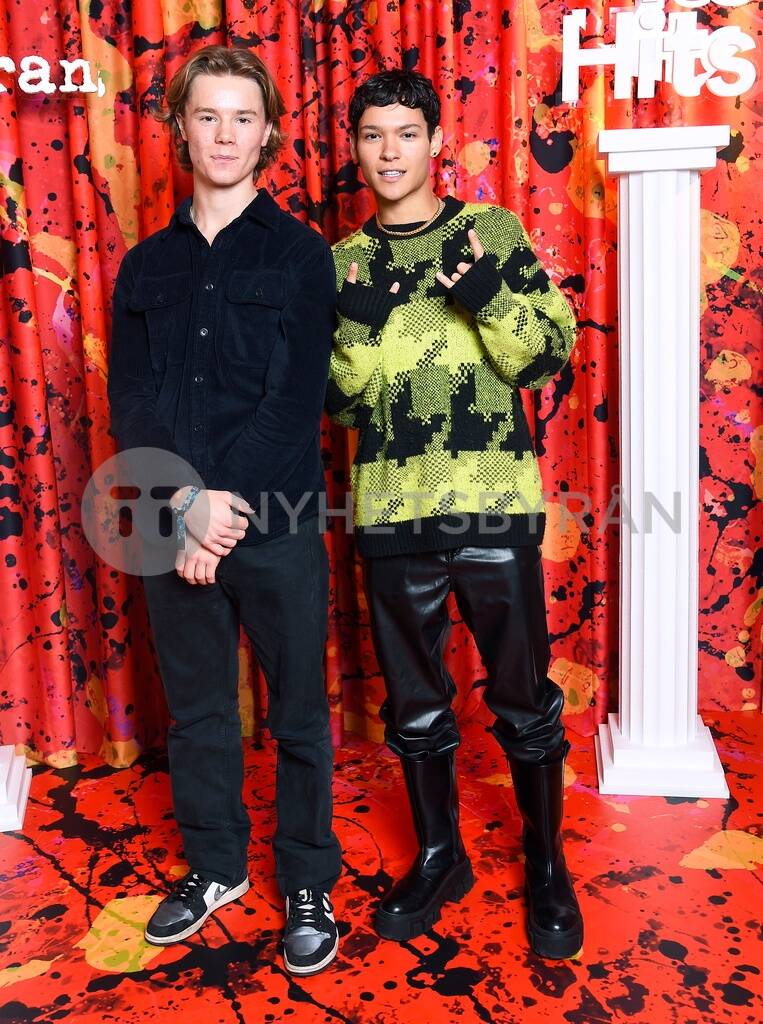 Omar Rudberg Ed Sheeran concert