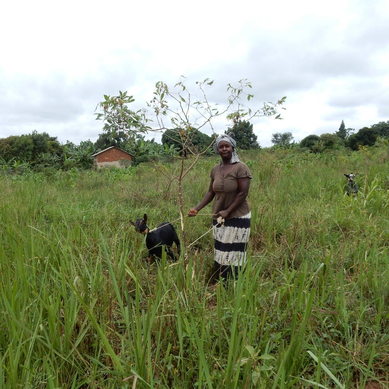 een geit met de mam van ons sponsorkind Abu