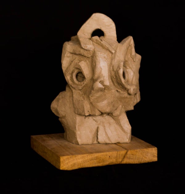 Vreemde vogel