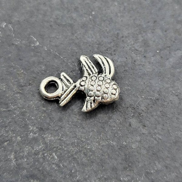 Fisch 6