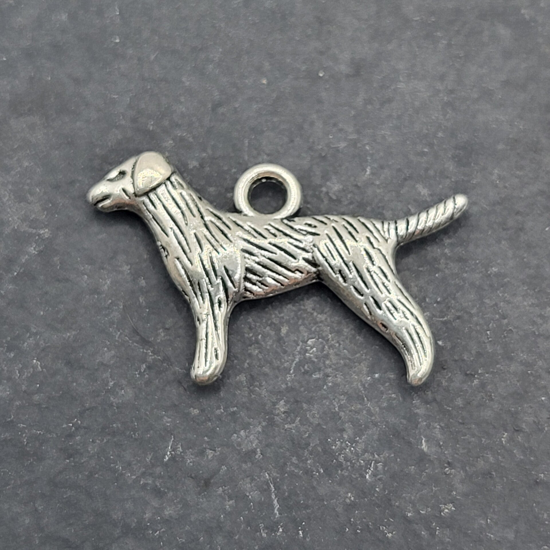 Hund 8