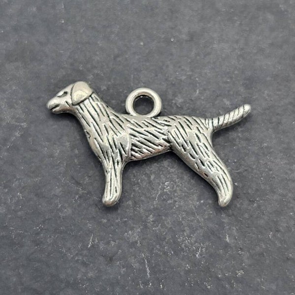 Hund 8