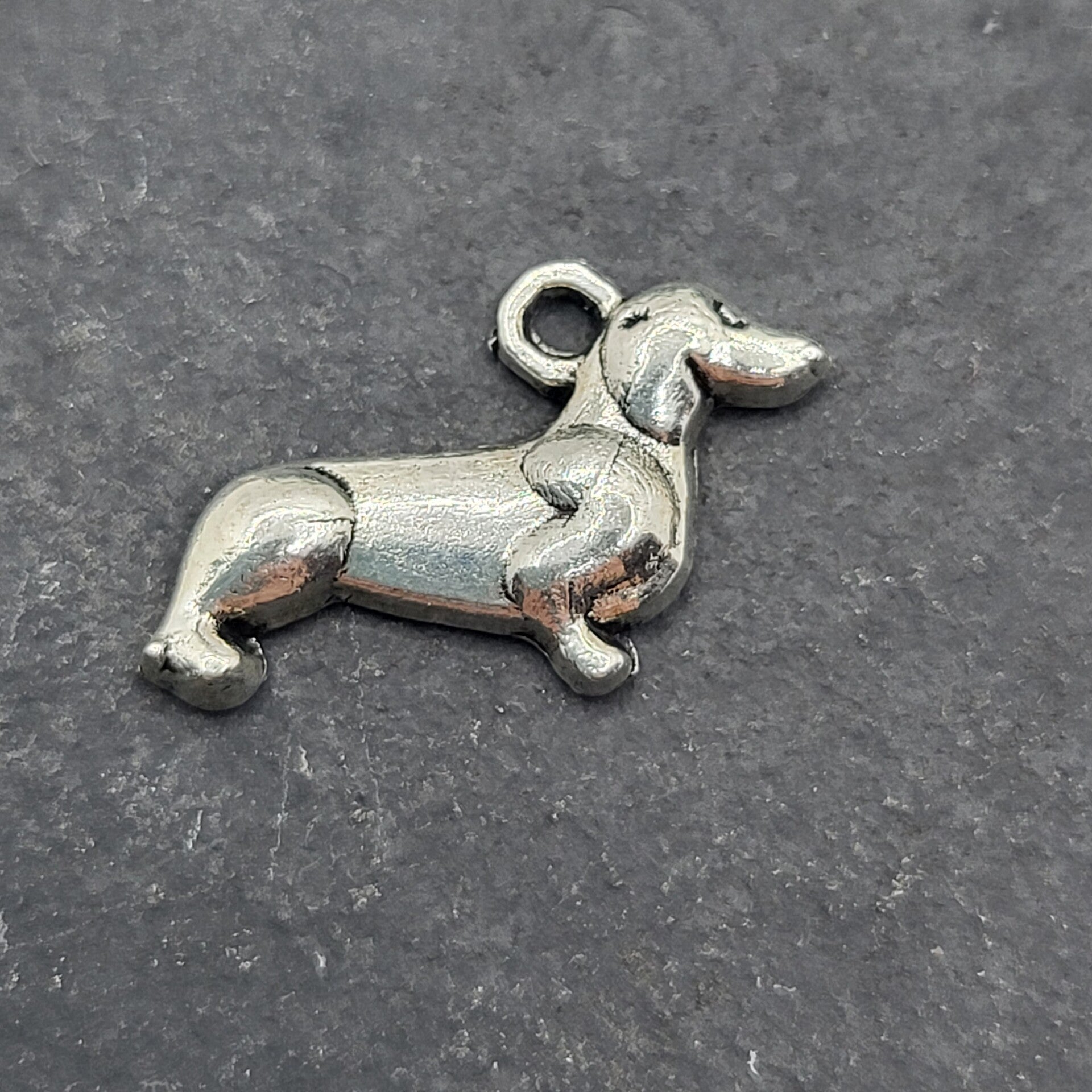 Hund 12