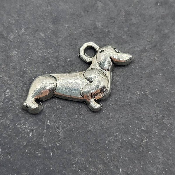 Hund 12