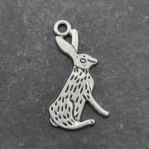 Hase