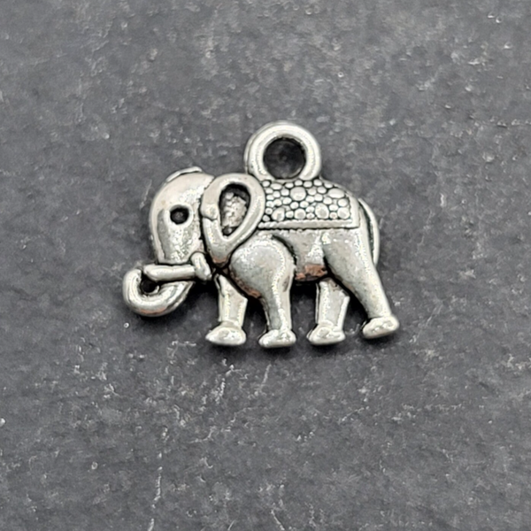 "Elefant 5"
