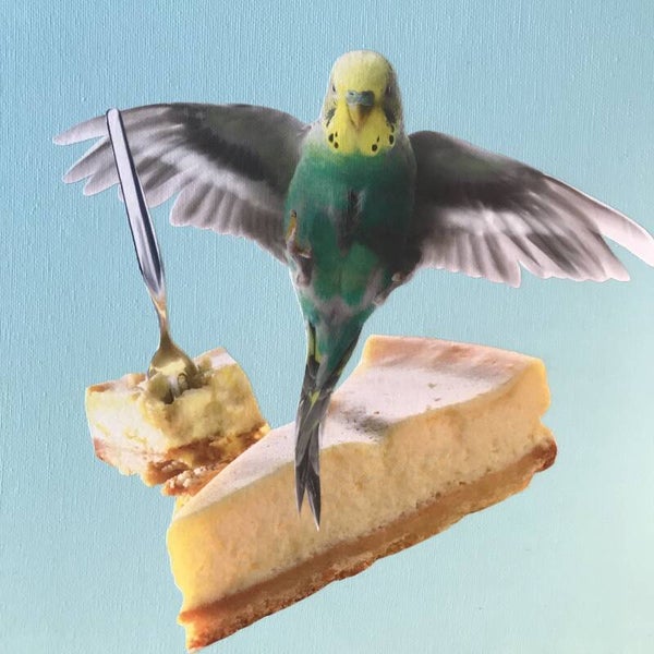 Birdy nam nam 25x25x0,3 cm