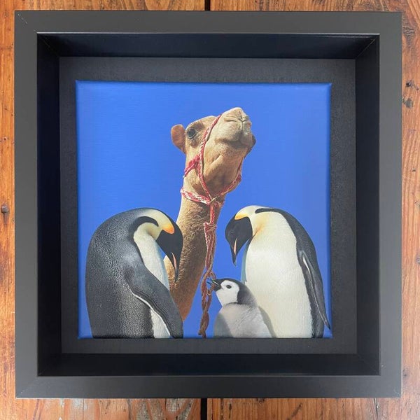 I want to keep him 20x20x1 cm incl. lijst 25x25x6